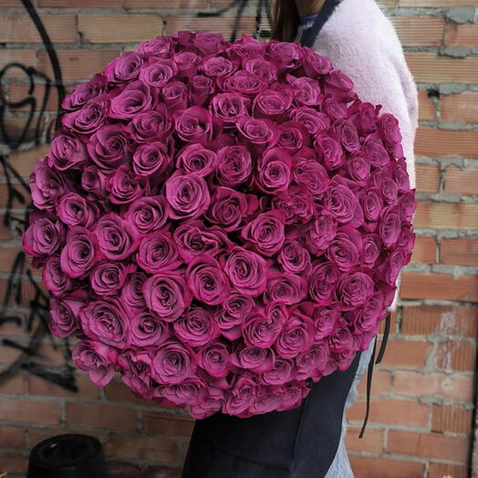 101 rosas purpuras