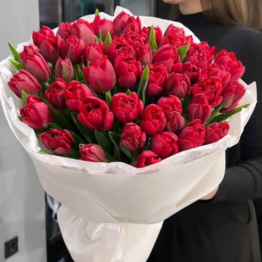 50 red tulips