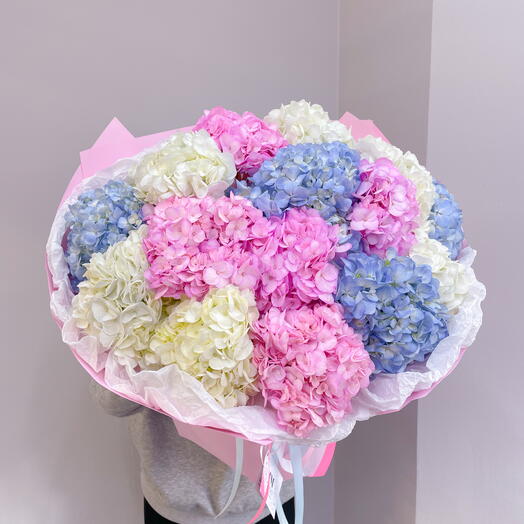 Букет из 15 гортензии