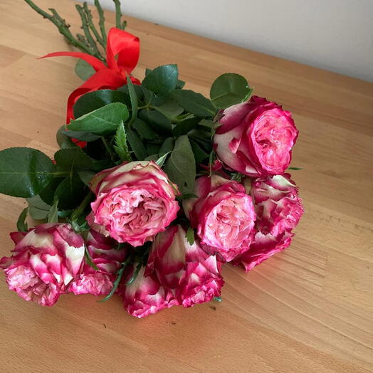 Garden Roses Pink White