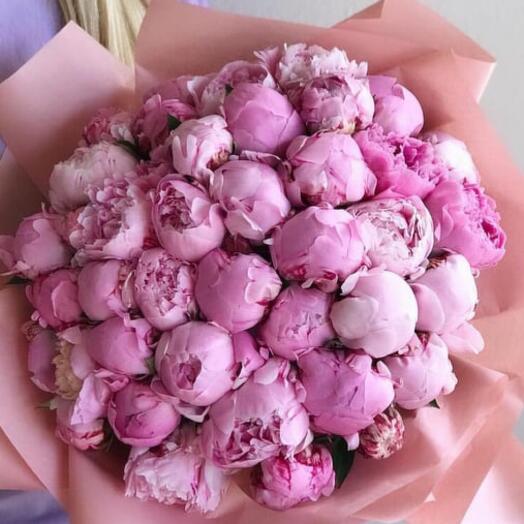 Bouquet of 51 pink peonies