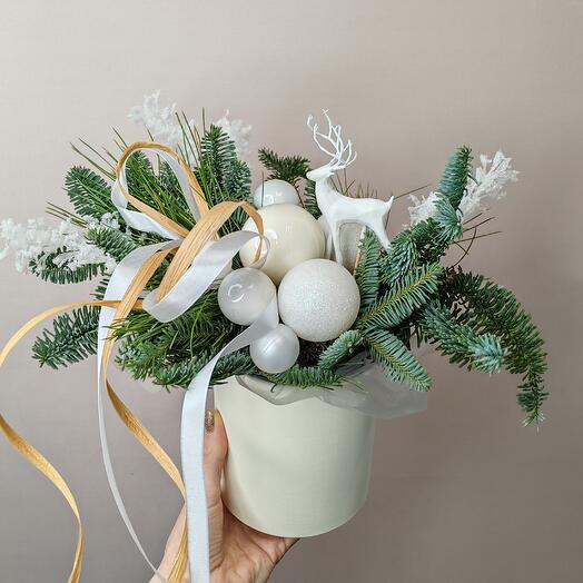 Цветы голубая ель, кедр в коробке