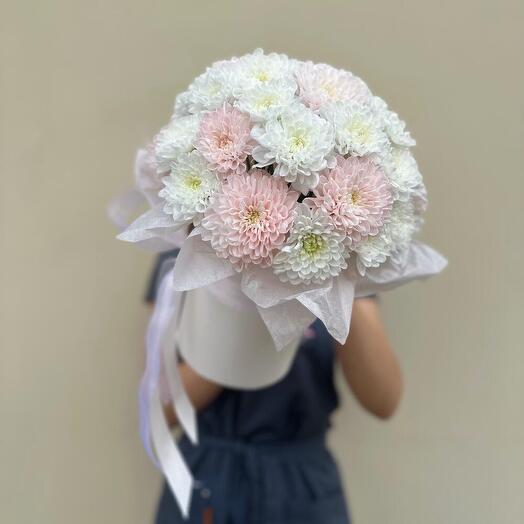 Delicate chrysanthemums in a box
