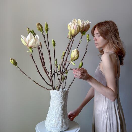 Магнолия ветка живая с бутонами