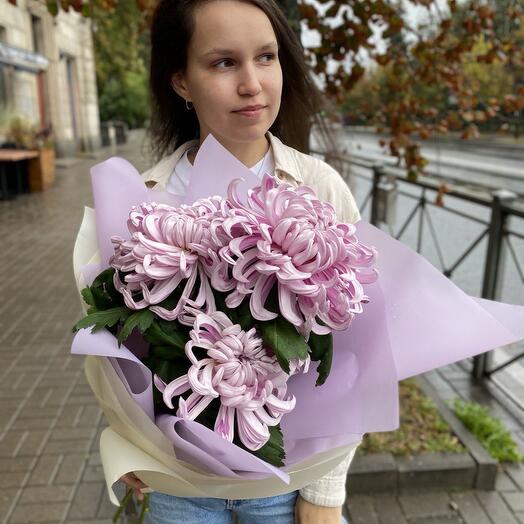Букет из 3 розовых хризантем Виена