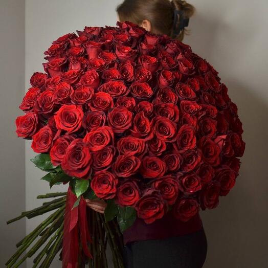 Букет из 101 метровой красной розы Эксплорер