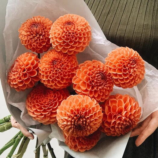 FlowBerry