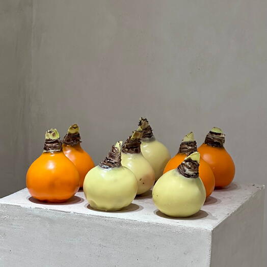 Sarah Flower Studio