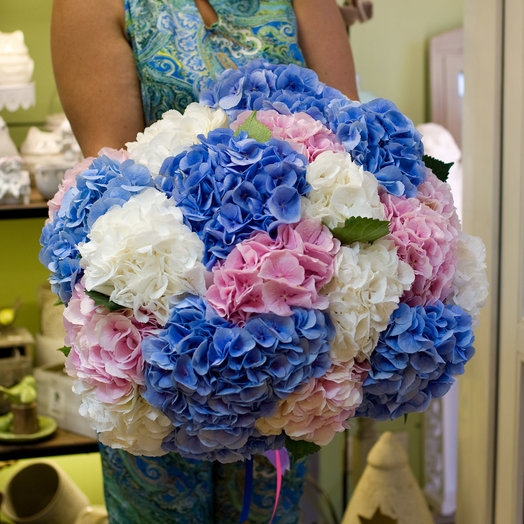Bouquet of hydrangeas Multicolored clouds