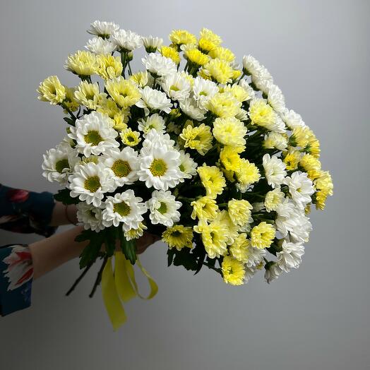Crisantemo Santini Mix amarillo-blanco 9 piezas
