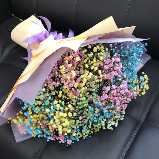 Bouquet of rainbow gypsophila