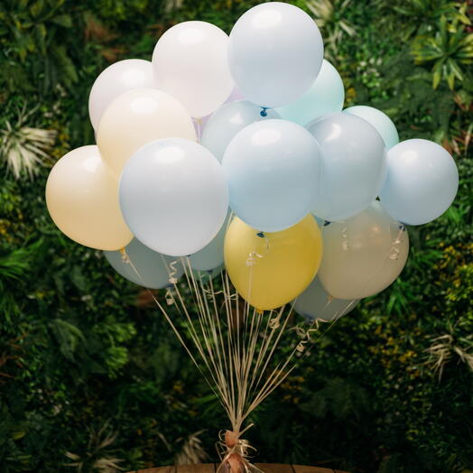 Top seller balloon Pastel set