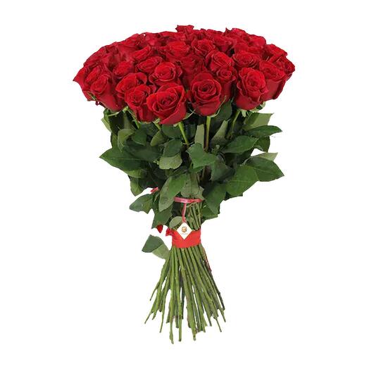 50 Long Stem Red Roses for Valentine s