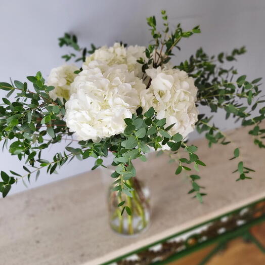 Ramo de 5 hortensias blancas