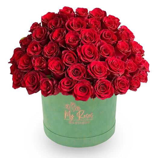 Light Green Velvet Box With 50 Red Roses