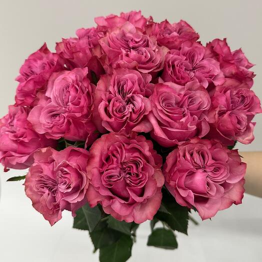 🔥ХИТ🔥 Букет из 15 крупных розовых пионовидных роз Сорт Кантри Блюз: Эквадор Премиум ️🔥🔝