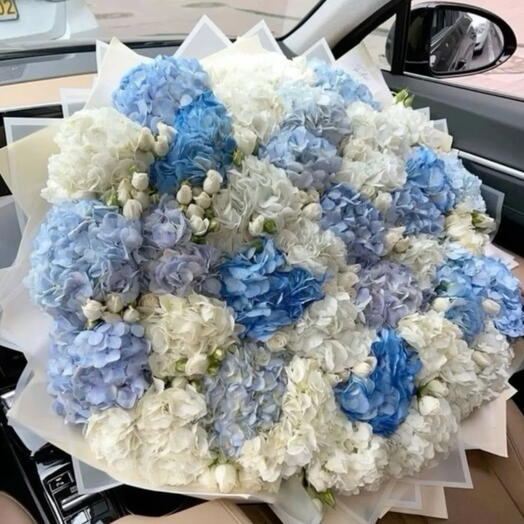 Blue and white bloom