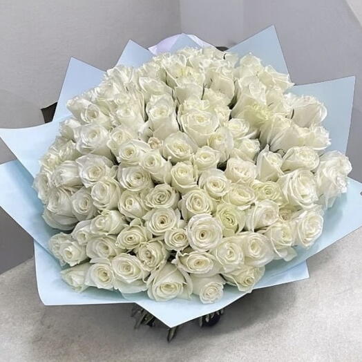 100 white rose