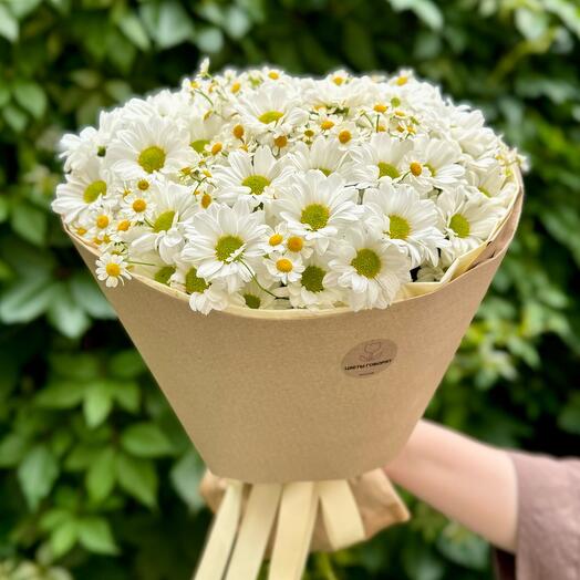 Дуэт ромашек🌼