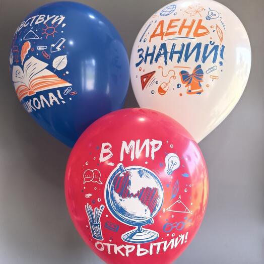 Шары для школьников