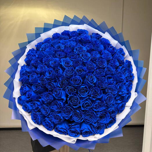 Raz Flover