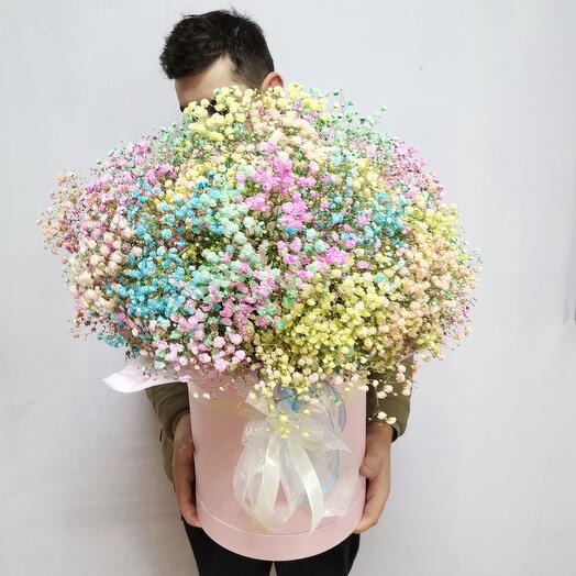 Gypsophila arcoíris en una Caja de sombrero