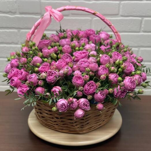 Flowering Chehovskaya