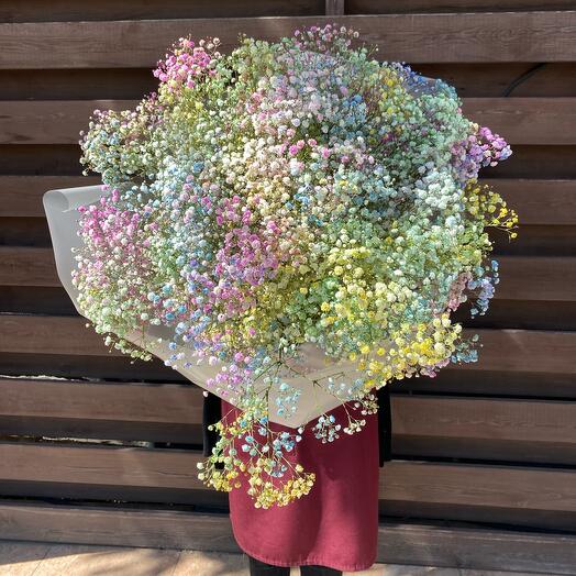 Gypsophila (size M)