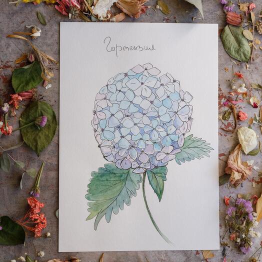 Акварельный рисунок