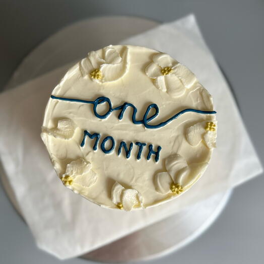 Bento Cake Baby Months