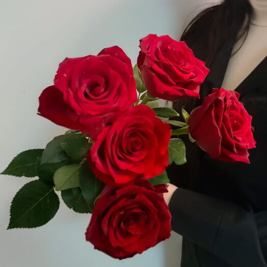 Розы бордовые Эквадор