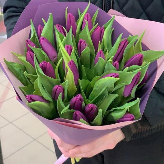 25 Purple Tulips