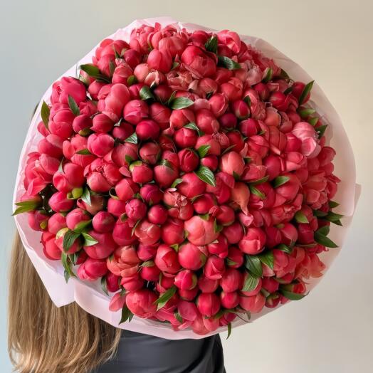 Букет из 151 коралловых пиона