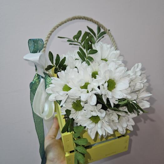 Ромашки в цветочном ящике