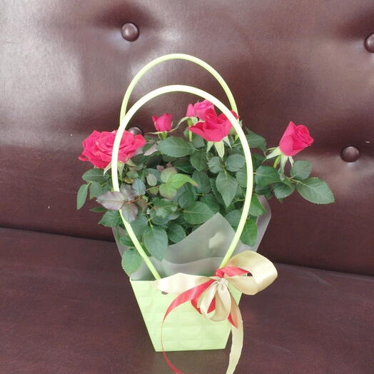 Nataliflowers24 Студия цветов