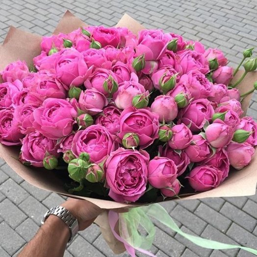Peony Rose Misty Bubbles