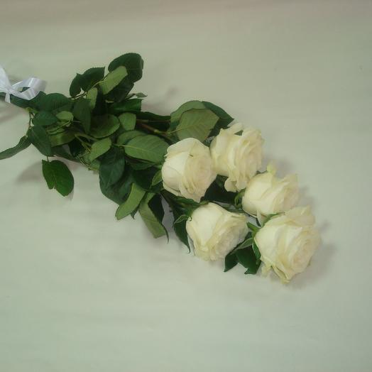 Rosas 5pcs