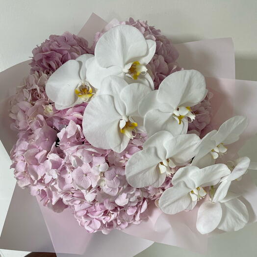 Hydrangeas and Orchid