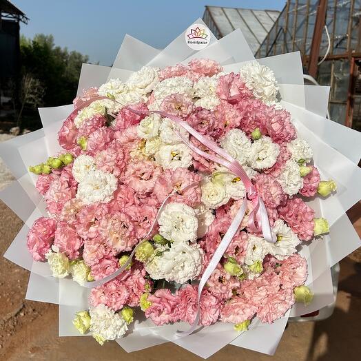 White and Pink lisianthus