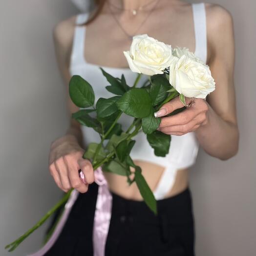 Роза белая 3шт