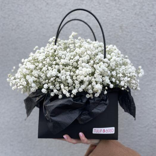 Gypsophila in box