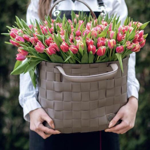 Tulips in a Bag "Time to Love"