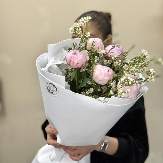 Пионы розовые