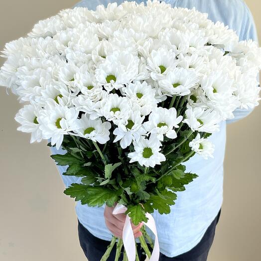 Bouquet of 15 Bacardi chrysanthemums