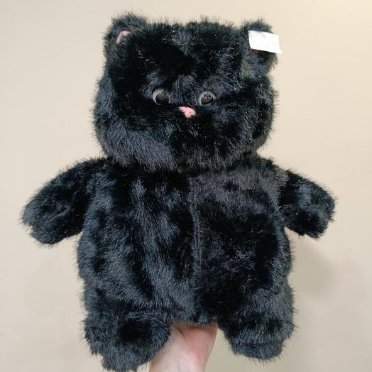 Чёрный кот