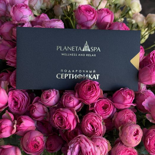 PLANETA SPA