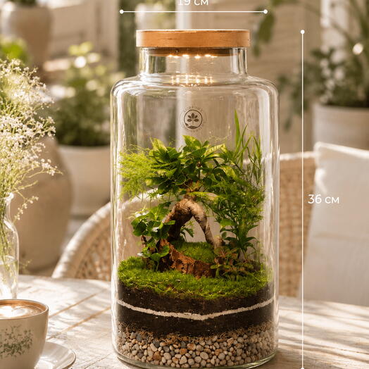 Florariumy Neopure