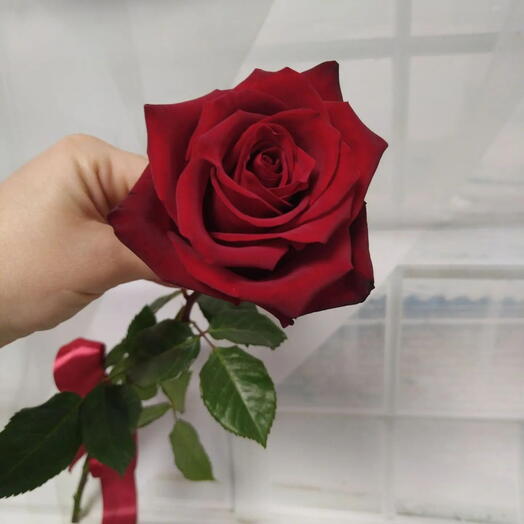 Loveflowerswow