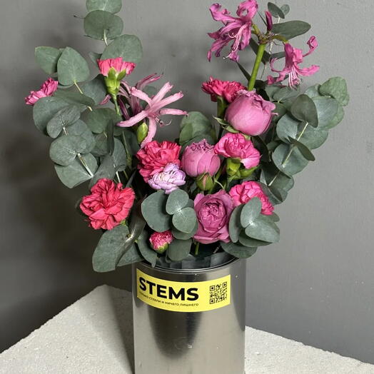 STEMSBOT