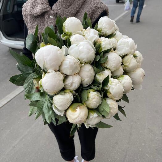 Пионы белые